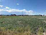 1500 Hwy 21 - Photo 6