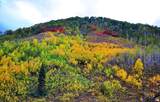  Middle Fork  / Pine Canyon Rd Rd - Photo 1
