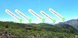  Middle Fork  / Pine Canyon Rd Rd - Photo 13