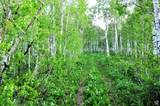  Middle Fork  / Pine Canyon Rd Rd - Photo 14