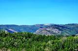  Middle Fork  / Pine Canyon Rd Rd - Photo 19
