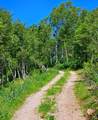  Middle Fork  / Pine Canyon Rd Rd - Photo 20