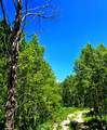  Middle Fork  / Pine Canyon Rd Rd - Photo 3