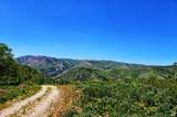  Middle Fork  / Pine Canyon Rd Rd - Photo 21