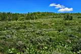  Middle Fork  / Pine Canyon Rd Rd - Photo 4