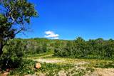 Middle Fork  / Pine Canyon Rd Rd - Photo 6