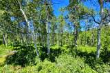  Middle Fork  / Pine Canyon Rd Rd - Photo 8