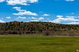 16875 Racetrack Rd - Photo 2