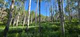 17603 Beaver Mountain Cir - Photo 12