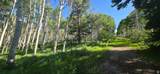 17603 Beaver Mountain Cir - Photo 14