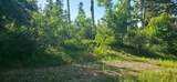 17603 Beaver Mountain Cir - Photo 16