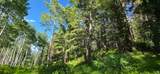 17603 Beaver Mountain Cir - Photo 7