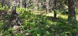 17603 Beaver Mountain Cir - Photo 8
