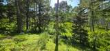 17603 Beaver Mountain Cir - Photo 9