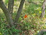 844 Edgewood Dr - Photo 10