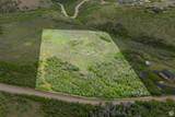 7852 Step Rd - Photo 11