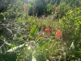 10 Stauffer Canyon Rd - Photo 11