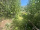 10 Stauffer Canyon Rd - Photo 19