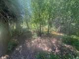 10 Stauffer Canyon Rd - Photo 5
