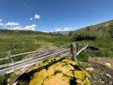 10 Stauffer Canyon Rd - Photo 43