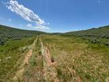 10 Stauffer Canyon Rd - Photo 48