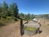 10 Stauffer Canyon Rd - Photo 8