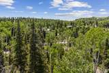 67 Red Cloud Trl - Photo 19