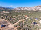 35 Prickley Pear/Pinyon Pine Dr - Photo 18