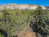 35 Prickley Pear/Pinyon Pine Dr - Photo 20
