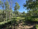 5592 Fremont Trl - Photo 5