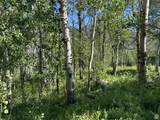5592 Fremont Trl - Photo 43