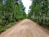11457 Marigold Ln - Photo 11