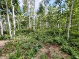 11457 Marigold Ln - Photo 9
