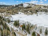 263 White Pine Canyon Rd - Photo 66