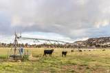 2606 Lower Boulder Rd - Photo 16