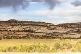2606 Lower Boulder Rd - Photo 32