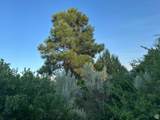 9 Chamisa Ln - Photo 31