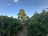 9 Chamisa Ln - Photo 32
