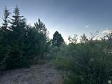 9 Chamisa Ln - Photo 36