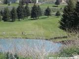 151 Hickock Dr - Photo 12