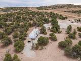 14183 High Mesa Loop - Photo 16