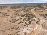 14183 High Mesa Loop - Photo 17