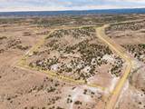 14183 High Mesa Loop - Photo 19