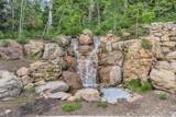 22 White Pine Canyon Rd - Photo 38