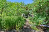 510 Spring Creek Rd - Photo 75
