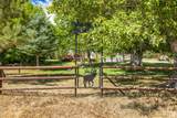 6013 Nounan Rd - Photo 38