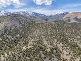 14544 Shaggy Mtn - Photo 7