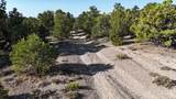 123 Tbd Prout Wash Rd - Photo 39