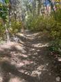 5028 Ridgedale Dr - Photo 4