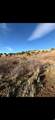  Address Not Published - Photo 5